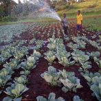 Farm project underway in Rift Valley, Kenya