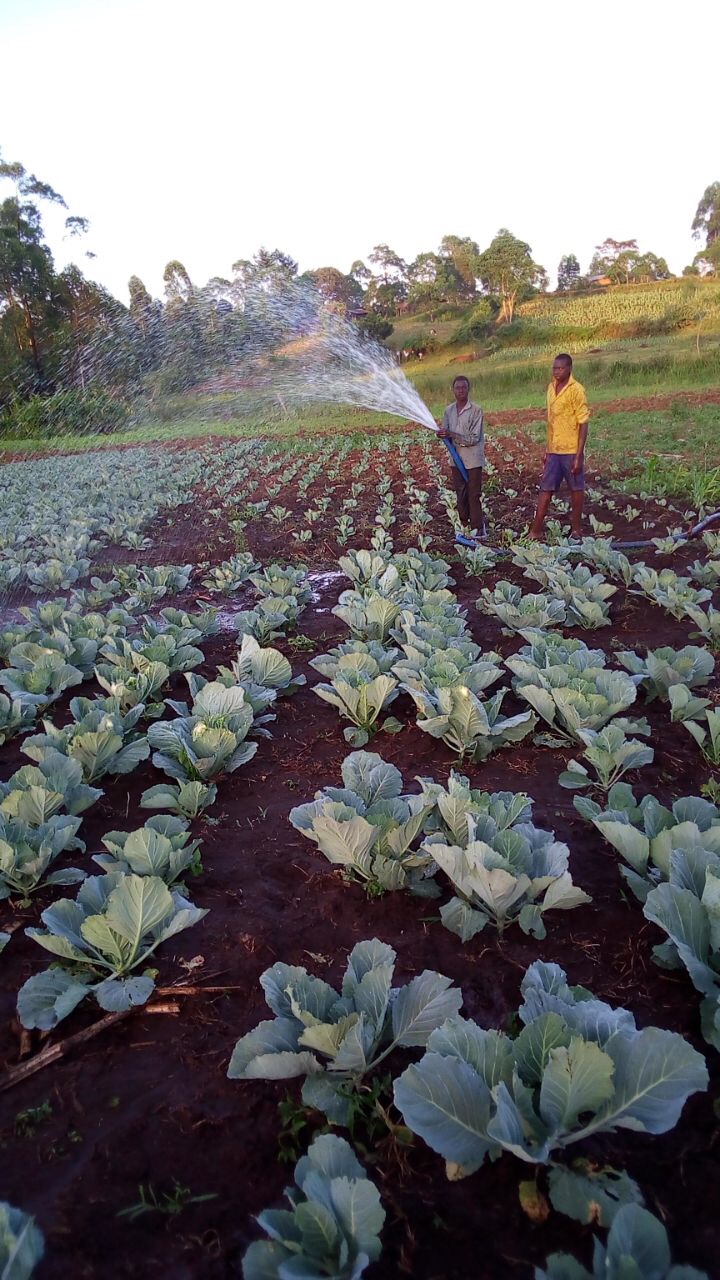 Farm project underway in Rift Valley, Kenya